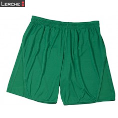 Team Shorts James & Nicholson